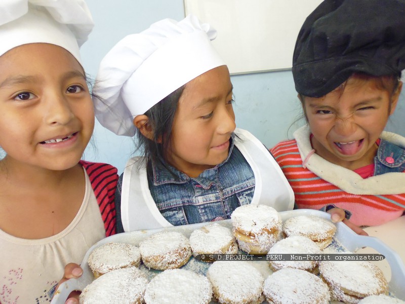 sd project, internship in peru, internship south america, volunteering work 496